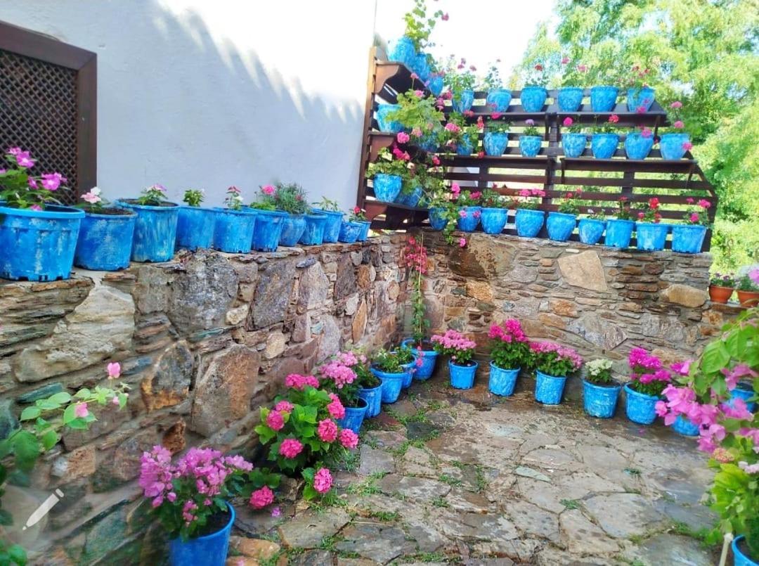 Sirincem